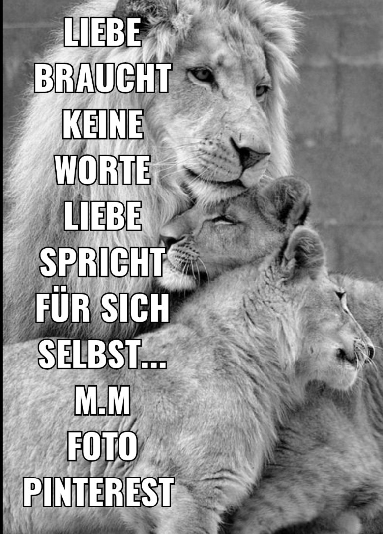 Liebe braucht keine Worte